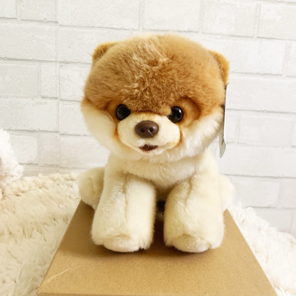 New Urban Outfitters Boo, The Worlds Cutest Dog! Stuffed Bean Filled Bag Plush